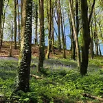 In County Wicklow Unique Escape Tinahely