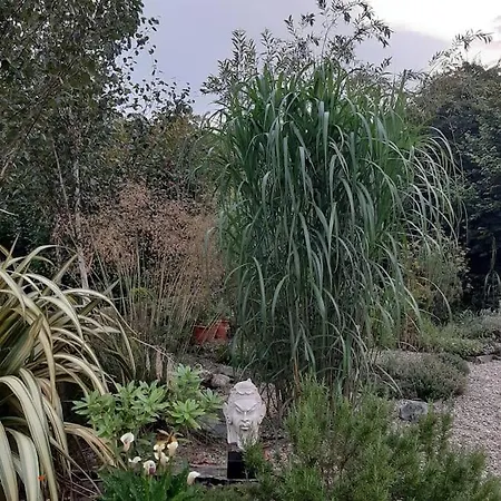 In County Wicklow Unique Escape *