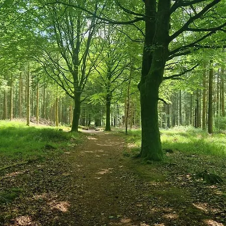 In County Wicklow Unique Escape *