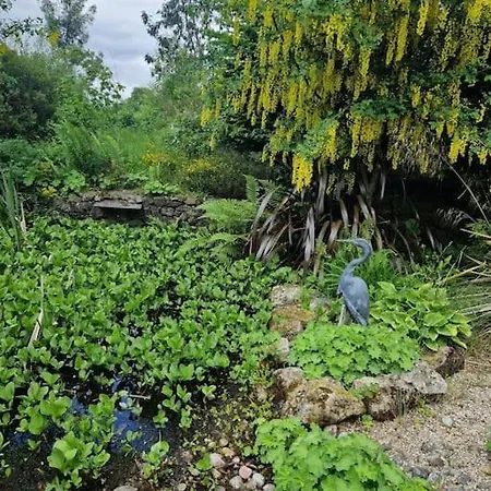 In County Wicklow Unique Escape Holiday home