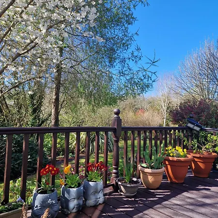 In County Wicklow Unique Escape *