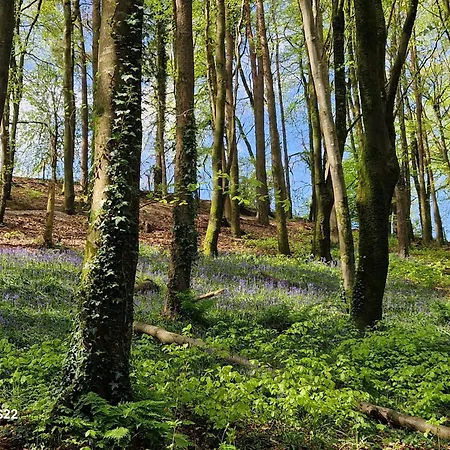 In County Wicklow Unique Escape Tinahely