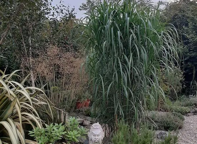 In County Wicklow Unique Escape *