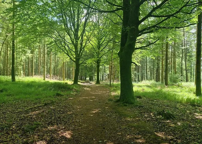 In County Wicklow Unique Escape *